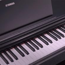 HARMONIC RESONANCE LIKE THAT OF A GRAND PIANO